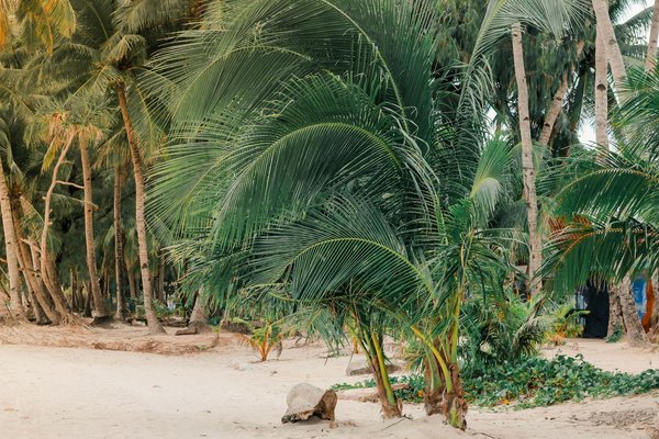 Comment découvrir les traditions de la musique fado au Portugal?